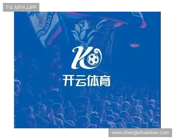 开云体育网站入口常见问题及解决方案帮助用户解决登陆障碍快速进入平台