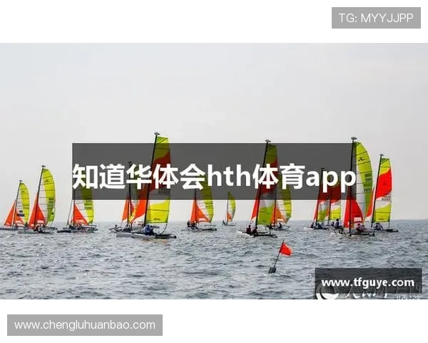 探索华体会app网址安全登录方式，保障用户隐私与账号安全最佳实践